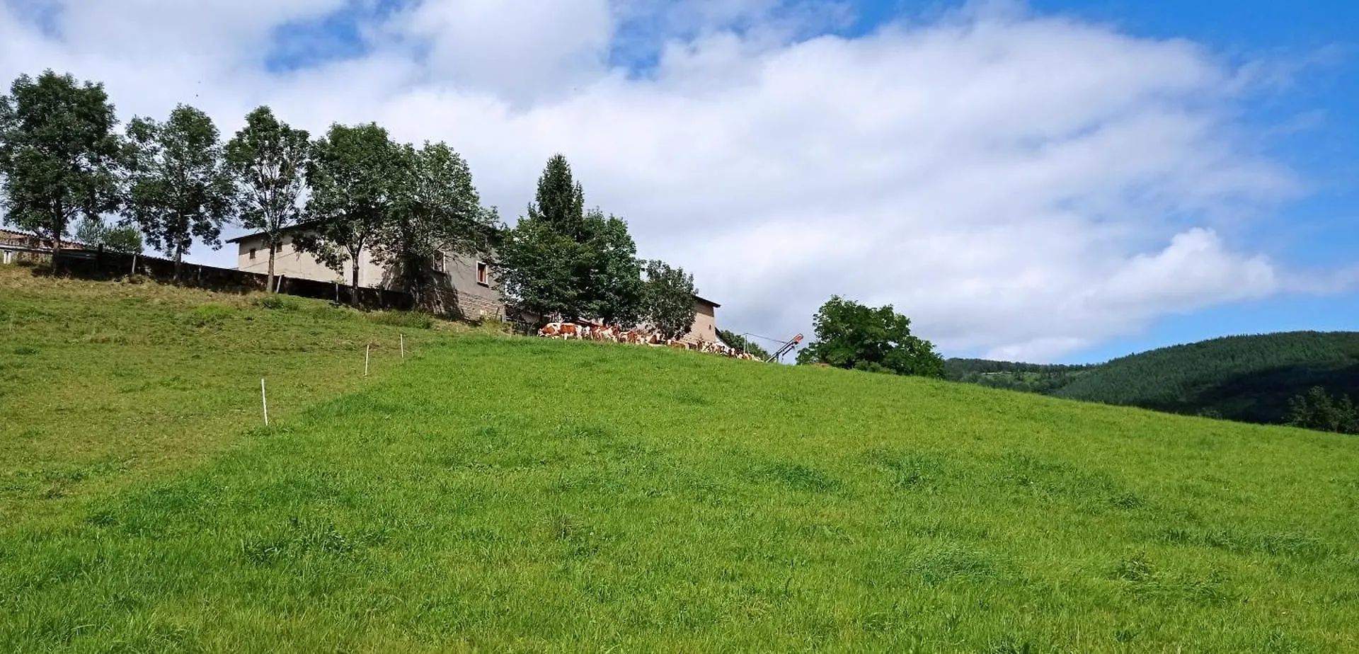 Gite Le Grenier De L'Oasis De Chamousset Brullioles